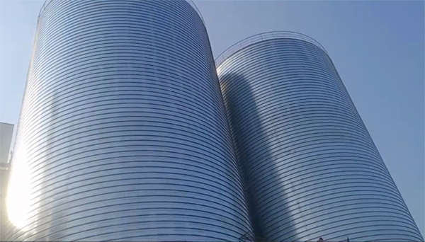 海盐2座混凝土高架卷板仓